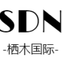 领先的设计咨询公司 - SDN栖木国际